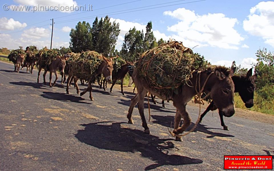 Ethiopia - 066.jpg